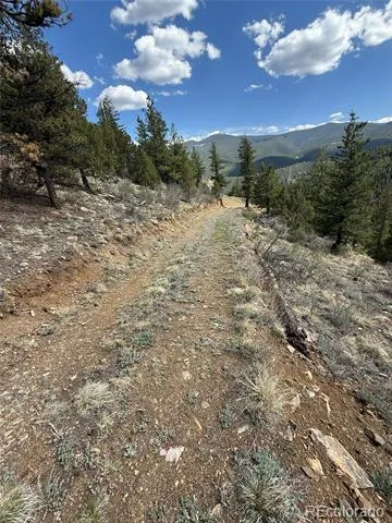 000 Raven Drive Idaho Springs, CO 80452
