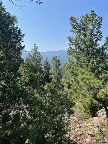 000 Raven Drive Idaho Springs, CO 80452