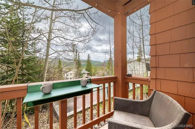 145 Forest Trail ##5 Winter Park, CO 80482