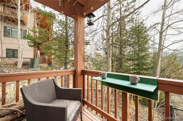 145 Forest Trail ##5 Winter Park, CO 80482