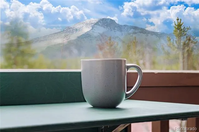 145 Forest Trail ##5 Winter Park, CO 80482
