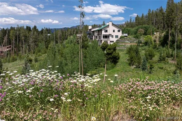 16 County Rd 8343/Elk Court Fraser, CO 80442
