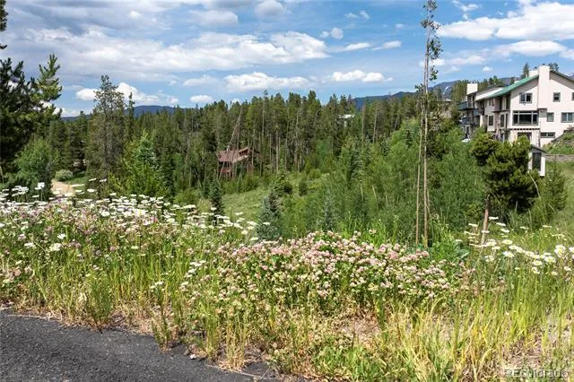 16 County Rd 8343/Elk Court Fraser, CO 80442