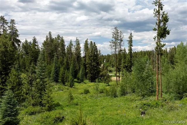 16 County Rd 8343/Elk Court Fraser, CO 80442