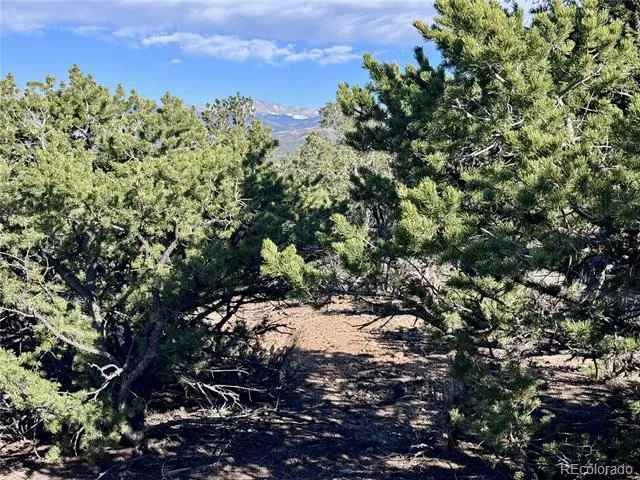 Lot 3292 Geneen Road Fort Garland, CO 81133