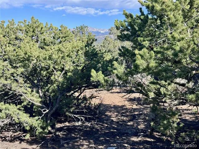 Lot 3292 Geneen Road Fort Garland, CO 81133