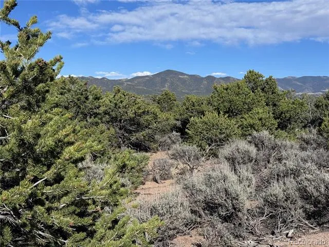 Lot 3292 Geneen Road Fort Garland, CO 81133