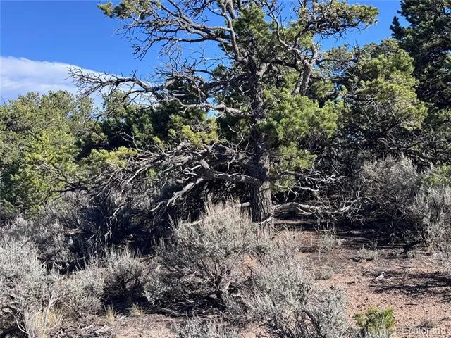 Lot 3292 Geneen Road Fort Garland, CO 81133