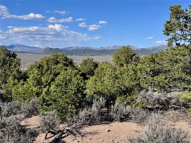 Lot 3292 Geneen Road Fort Garland, CO 81133