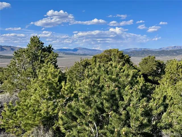 Lot 3292 Geneen Road Fort Garland, CO 81133