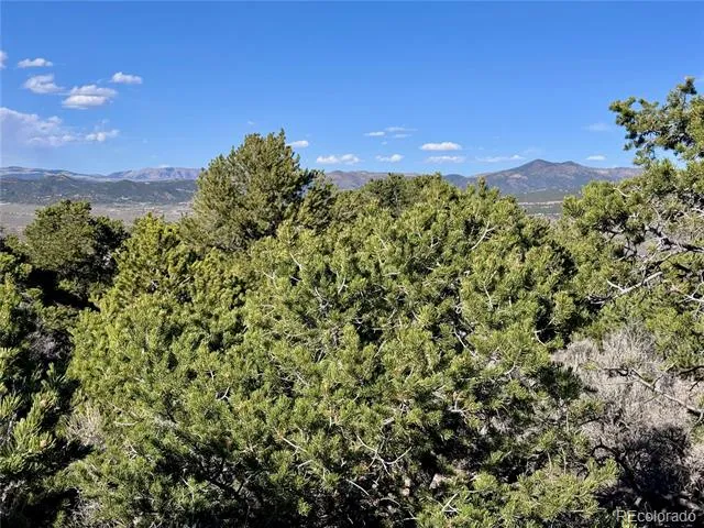 Lot 3292 Geneen Road Fort Garland, CO 81133