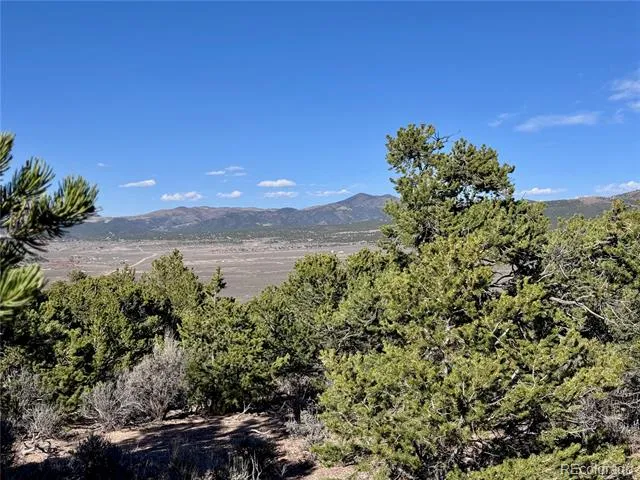 Lot 3292 Geneen Road Fort Garland, CO 81133