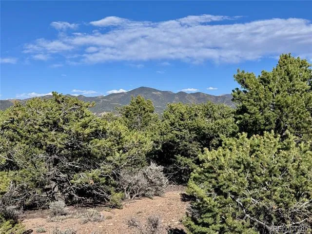 Lot 3292 Geneen Road Fort Garland, CO 81133