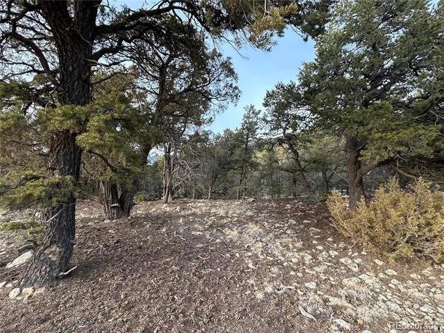 3593-3594 Splendid Way Crestone, CO 81131