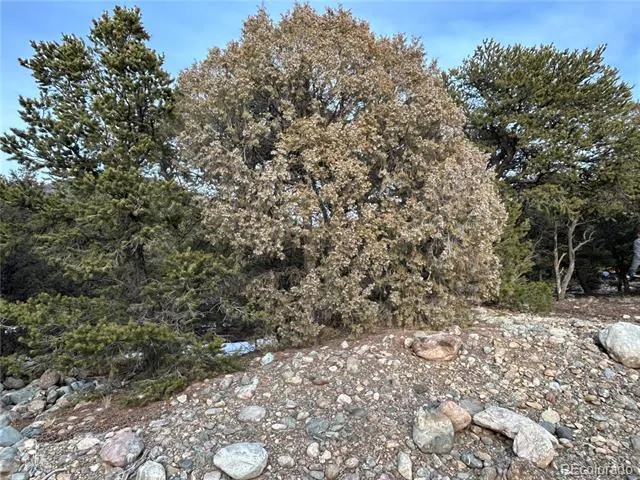 3593-3594 Splendid Way Crestone, CO 81131