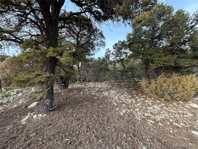 3593-3594 Splendid Way Crestone, CO 81131