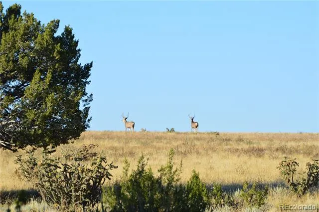 0 County Road 94 Model, CO 81059