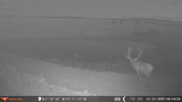 0 County Road 94 Model, CO 81059