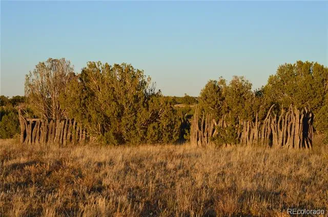 0 County Road 94 Model, CO 81059