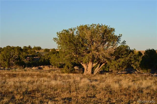 0 County Road 94 Model, CO 81059