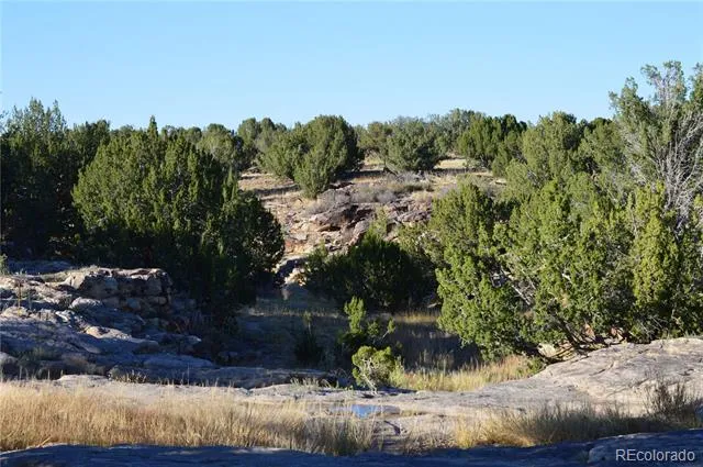 0 County Road 94 Model, CO 81059