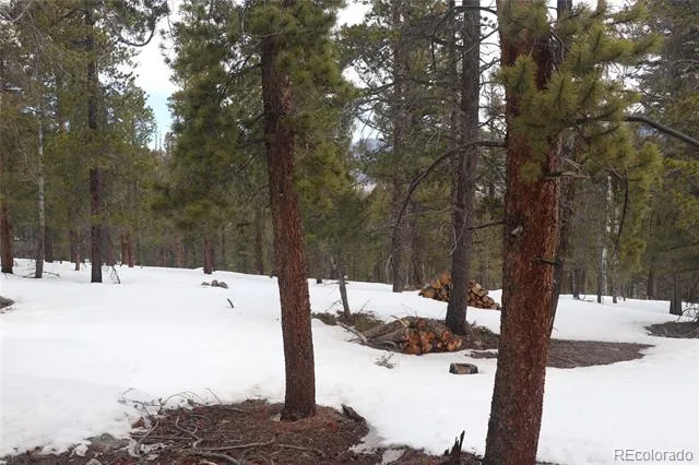 Aspen Turn Buena Vista, CO 81211