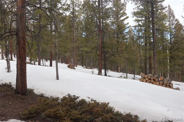 Aspen Turn Buena Vista, CO 81211