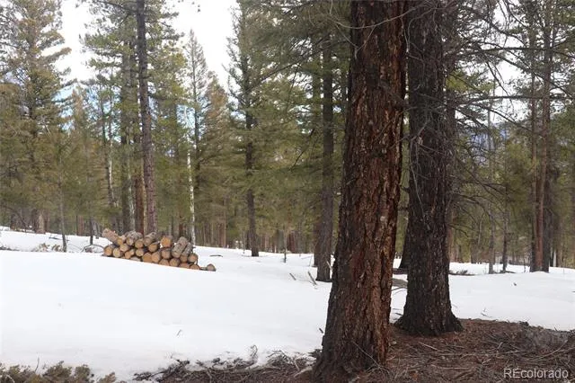 Aspen Turn Buena Vista, CO 81211