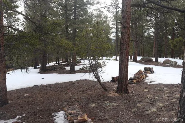 Aspen Turn Buena Vista, CO 81211