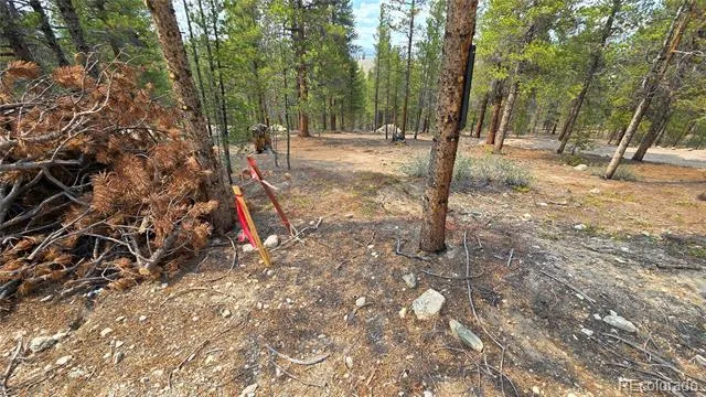67 Lodgepole Drive Leadville, CO 80461