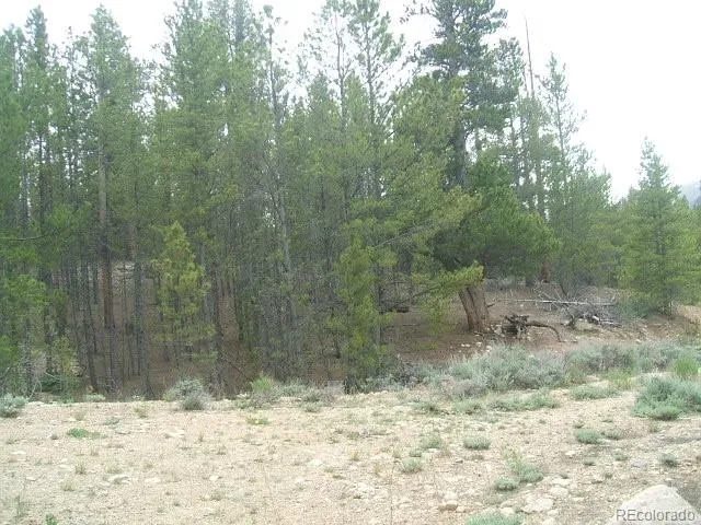 67 Lodgepole Drive Leadville, CO 80461