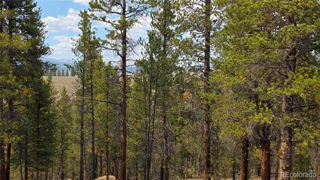 67 Lodgepole Drive Leadville, CO 80461