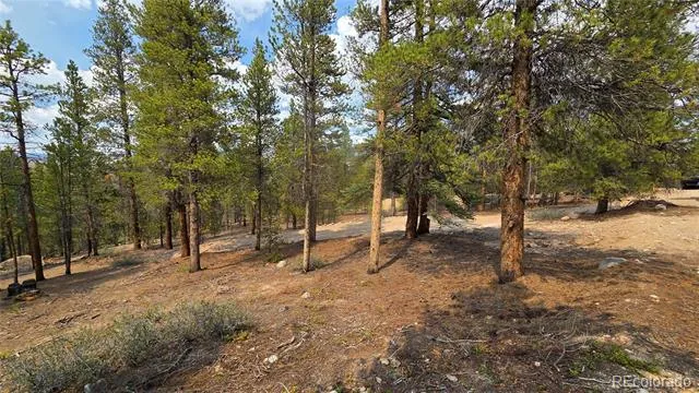 67 Lodgepole Drive Leadville, CO 80461