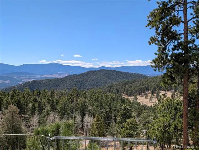 13108 Elsie Road Conifer, CO 80433