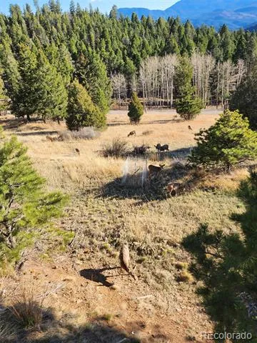13108 Elsie Road Conifer, CO 80433