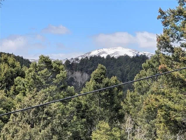 13108 Elsie Road Conifer, CO 80433