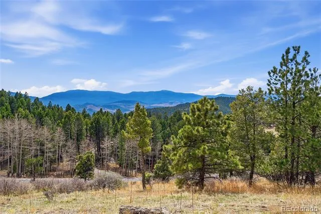 13108 Elsie Road Conifer, CO 80433