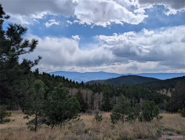 13108 Elsie Road Conifer, CO 80433