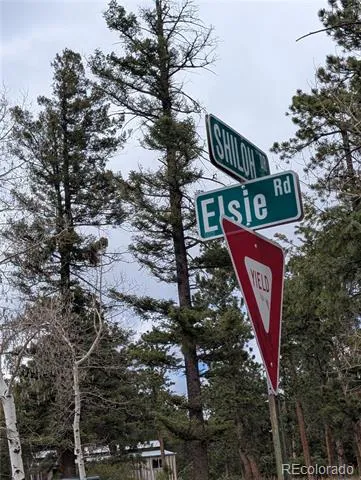 13108 Elsie Road Conifer, CO 80433