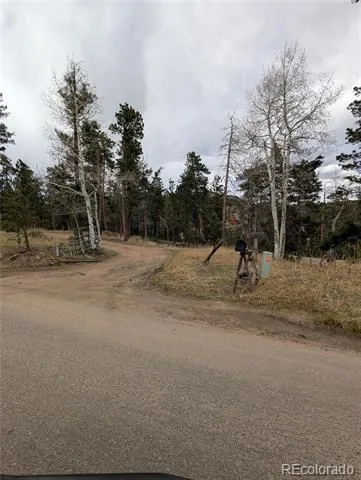 13108 Elsie Road Conifer, CO 80433