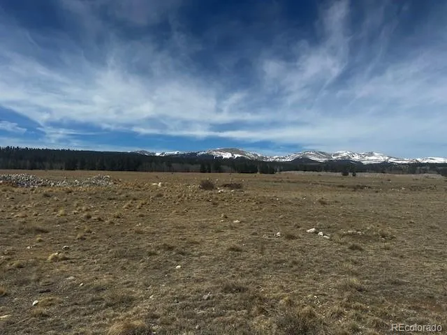 Stone Creek Fairplay, CO 80440