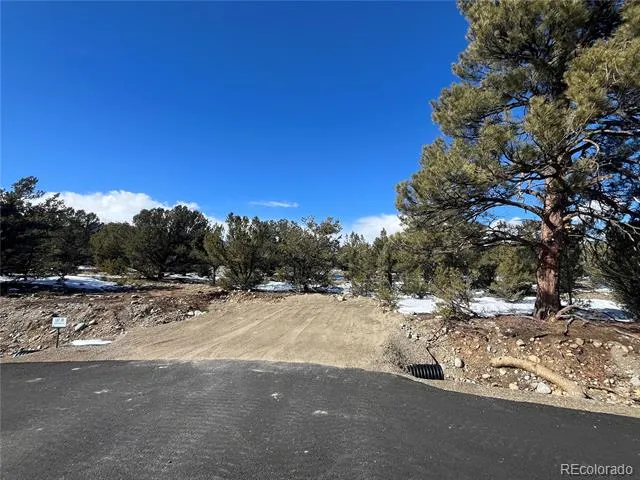 29258 Sage Lane Buena Vista, CO 81211