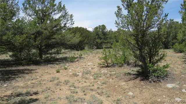 29258 Sage Lane Buena Vista, CO 81211