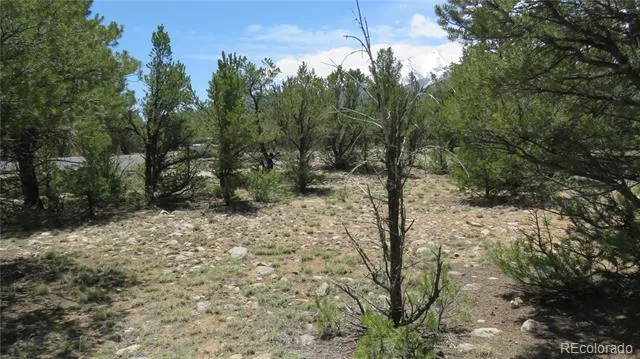 29258 Sage Lane Buena Vista, CO 81211