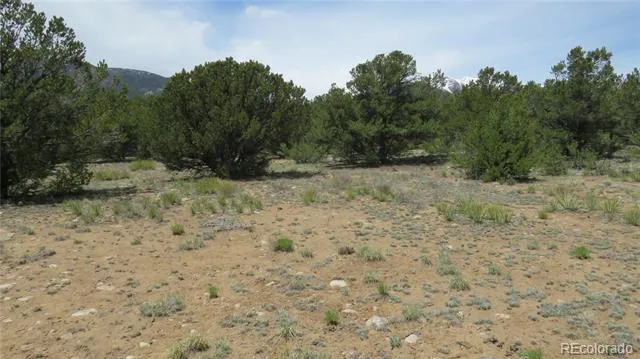 29258 Sage Lane Buena Vista, CO 81211