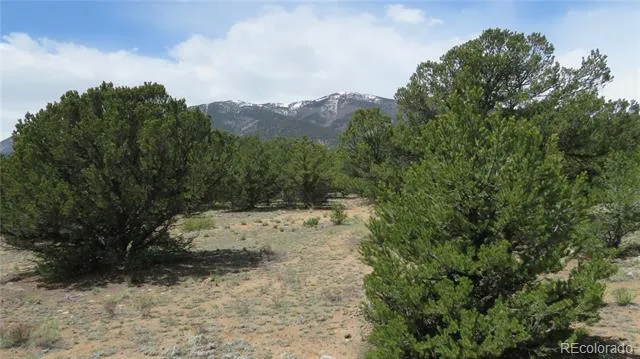 29258 Sage Lane Buena Vista, CO 81211