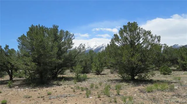 29258 Sage Lane Buena Vista, CO 81211
