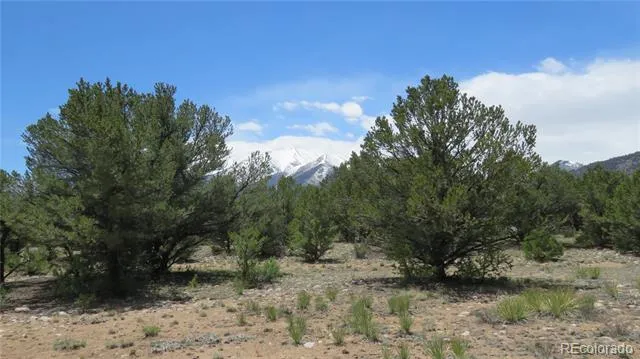 29258 Sage Lane Buena Vista, CO 81211