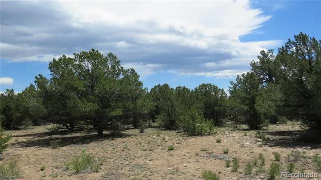 29258 Sage Lane Buena Vista, CO 81211