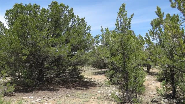 29258 Sage Lane Buena Vista, CO 81211